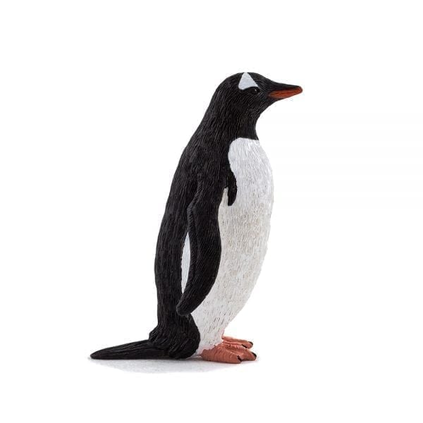 moj387184-gentoo-penguin