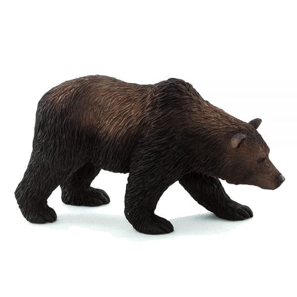 moj387216-grizzly-bear