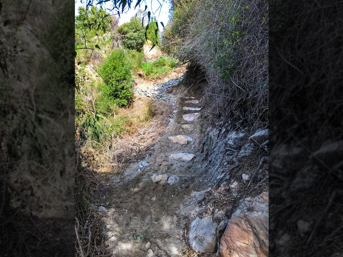 rakaia-gorge-walking-track-3