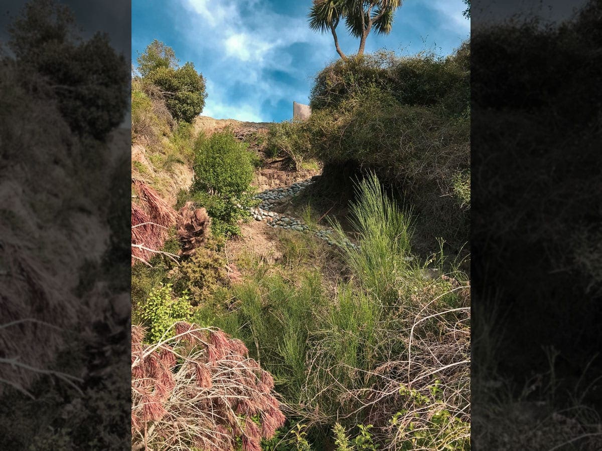 rakaia-gorge-walking-track-4