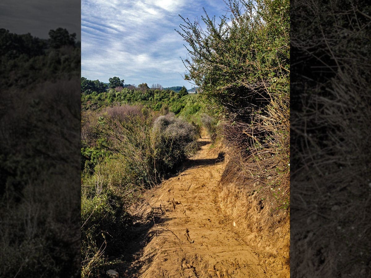 rakaia-gorge-walking-track-7