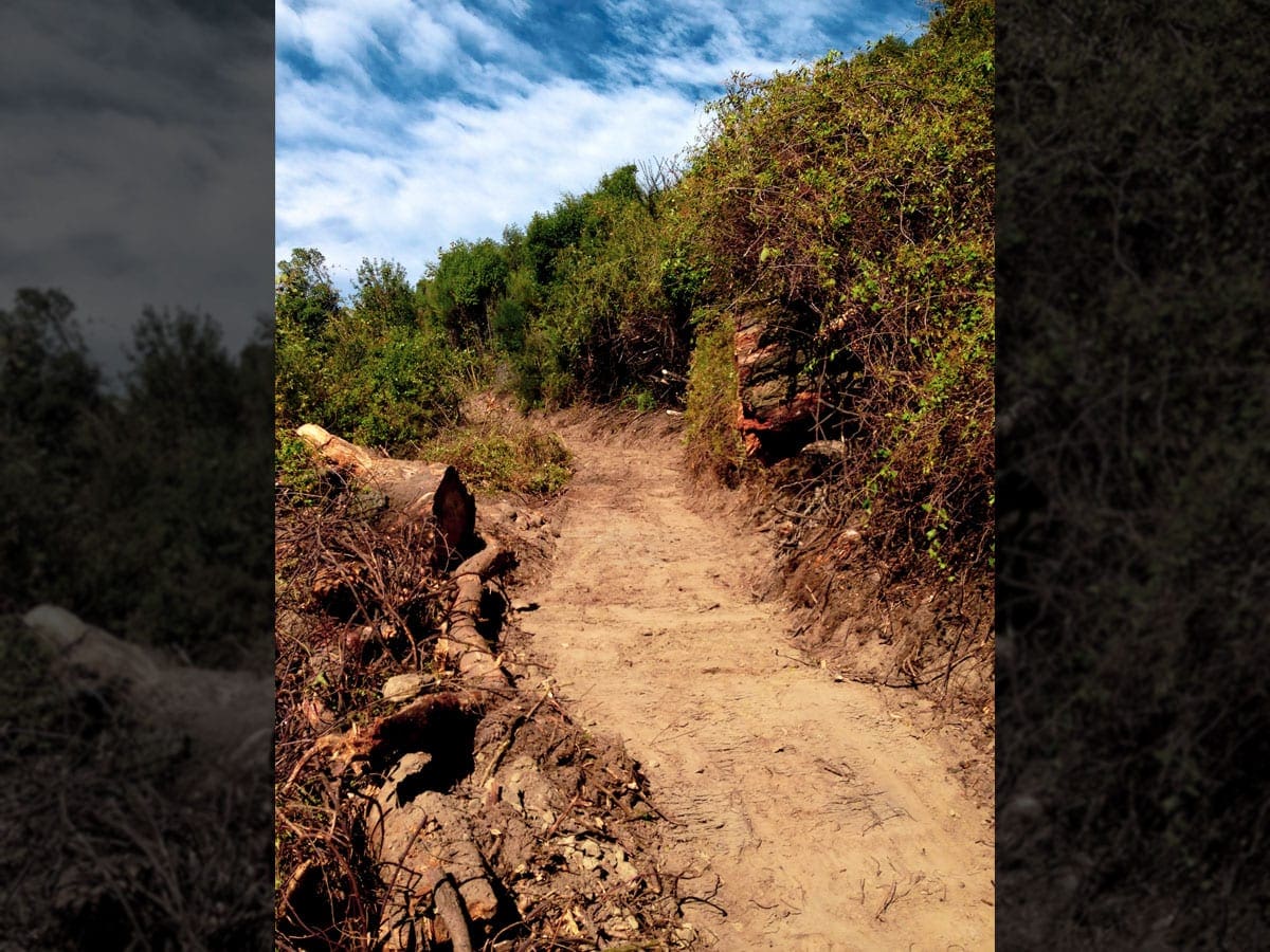 rakaia-gorge-walking-track-9