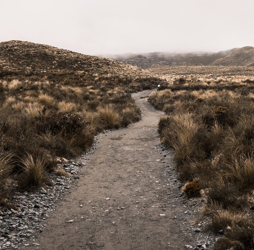 walk1