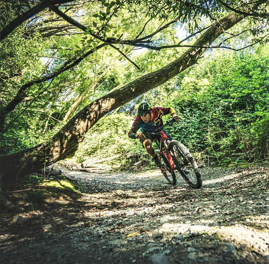 bike-trail-4