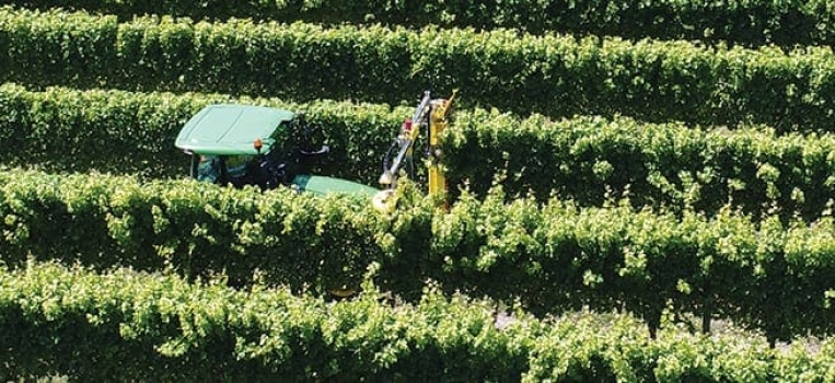 Blenheim Fielday